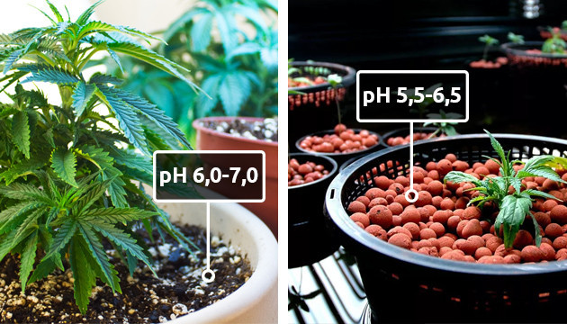 Уровень pH при выращивании
