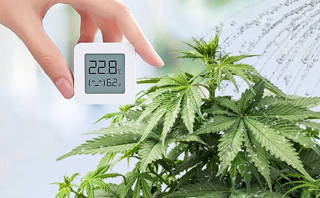 Температура и влажность для высокого урожая автоцветов Условия микроклимата для высокого урожая автоцветов