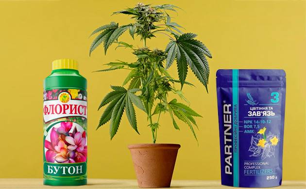 Стимуляторы Бутон и Завязь