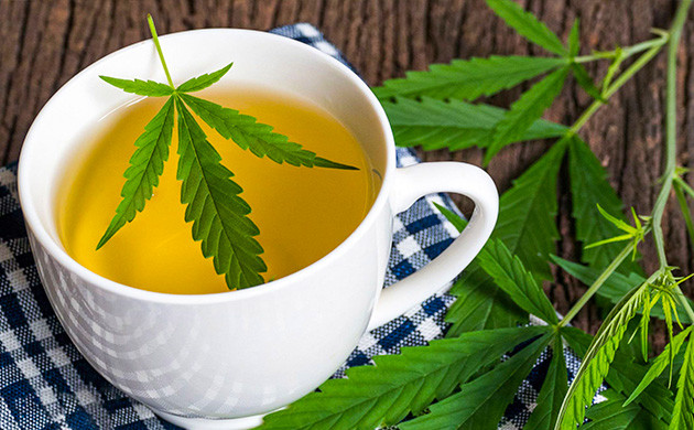 Чай из конопли