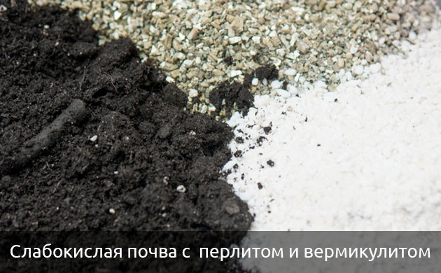 Как избежать недостатка марганца у конопли