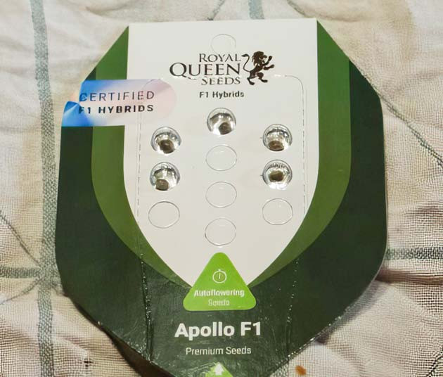 Семена сорта Apollo F1 Auto от Royal Queen Seeds