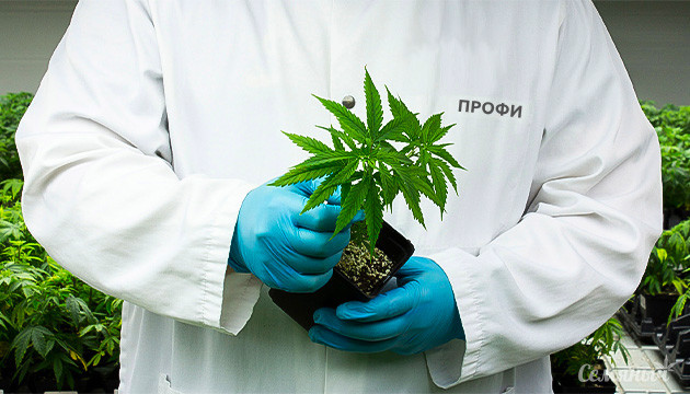 Как развить в себе новые гроверские навыки