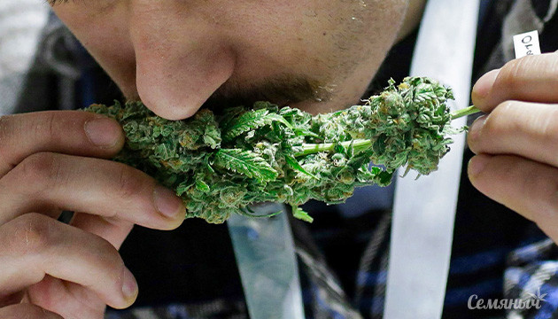 Как сохранить аромат шишек конопли