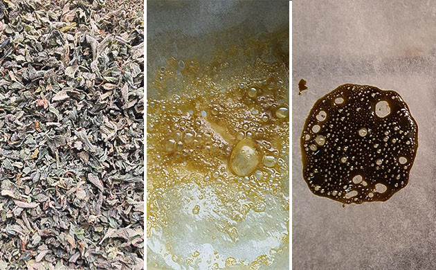 Экстракт и высушенный растительный материал: сравнительный анализ