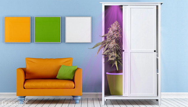 Гроубокс в шкафу