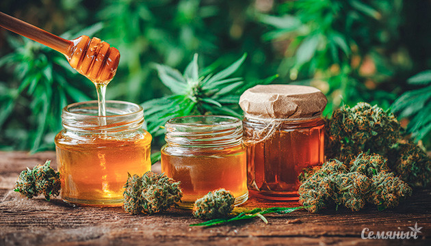 Рецепт и польза конопляной настойки с мёдом Канна-кухня: медово-конопляная настойка