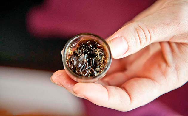 Способы для мощного эффекта с темпл-боллом Темпл-болл в трубке или бонге