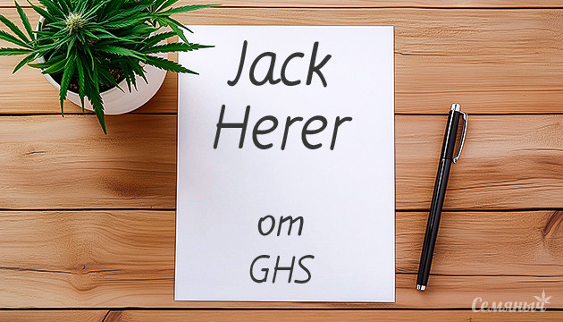 Гроурепорт сорта каннабиса Jack Herer fem от Green House Seeds