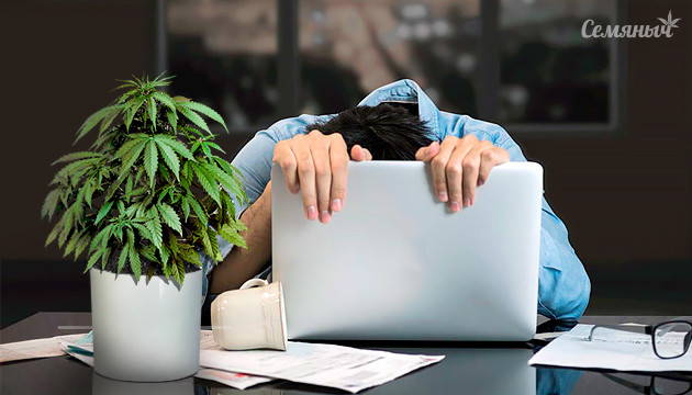 Первый гров