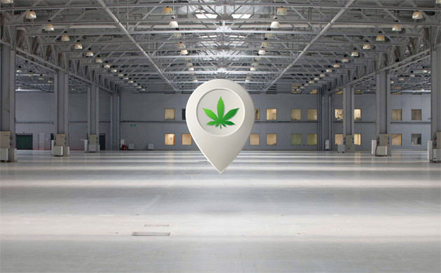 Помещение для выращивания каннабиса