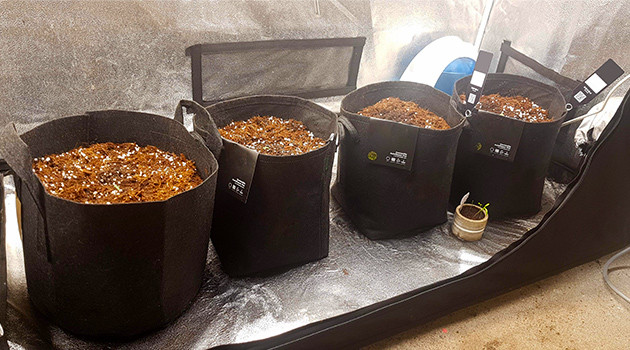 Высадка семян в почву Четыре горшка с супергрунтом