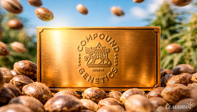 Новые сорта от Compound Genetics