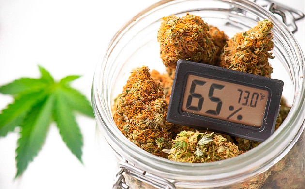 Пролечка каннабиса: наука за процессом