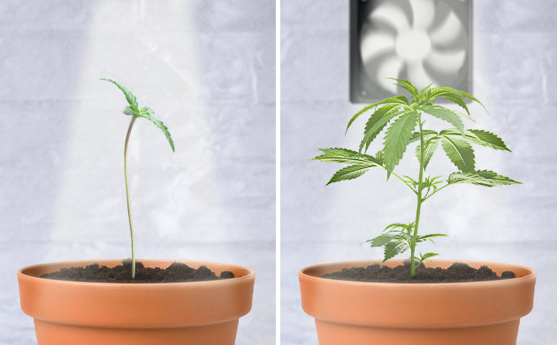 Создание искусственного ветерка Обдув компьютерным кулером