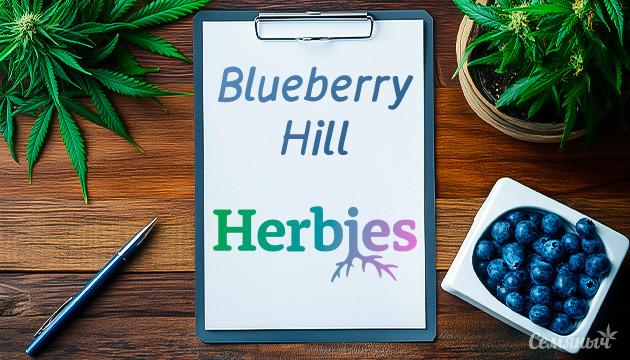 Гроурепорт Blueberry Hill от сидбанка Herbies Seeds