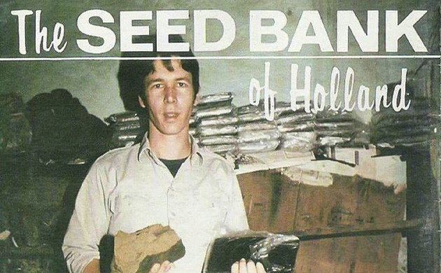 Невилл Шунмейкер и Northern Lights