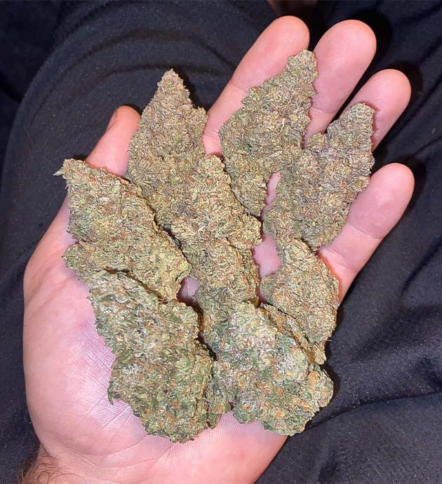 Сложный аромат после сушки Vanilla Frosting Готовность к харвесту Vanilla Frosting