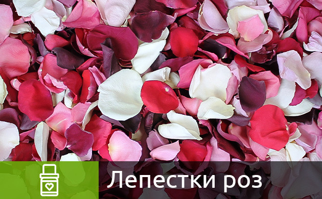 Лепестки роз