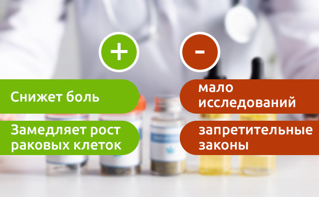 Плюсы и минусы применения каннабиса при раке