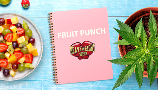 Гроурепорт сорта марихуаны Fruit Punch fem