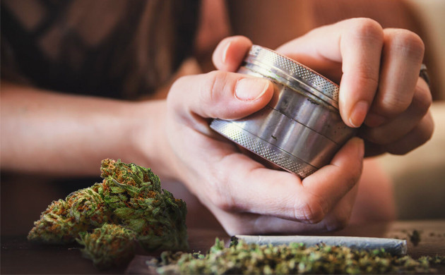 Использование гриндера Измельчение шишек гриндером