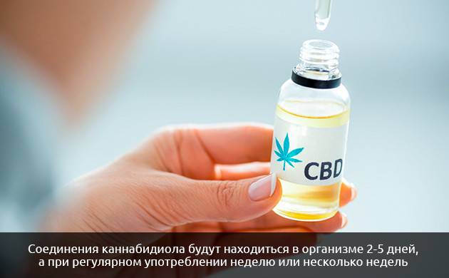 Как долго КБД остается в организме