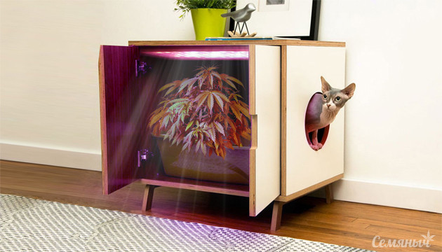 Микрогровинг конопли