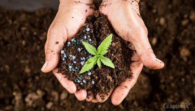 Органика против химии