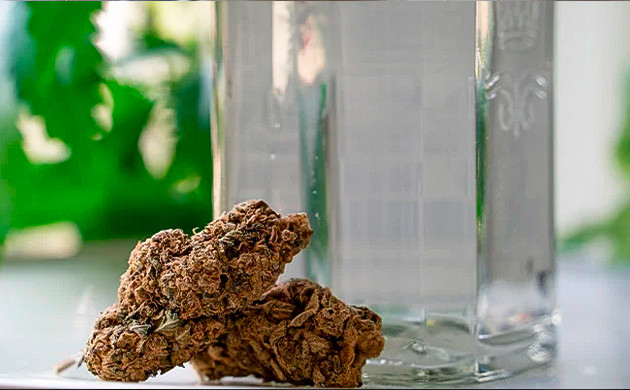 Рецепт джин-тоника с каннабисом Джин-тоник с марихуаной