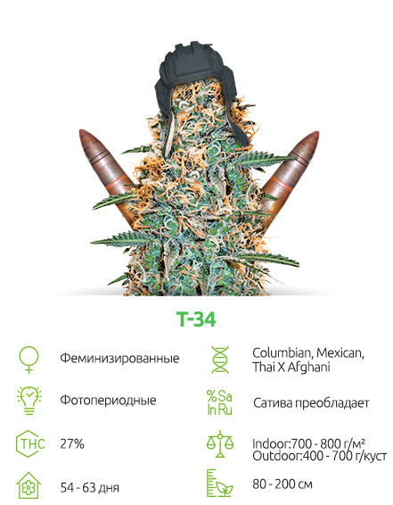 T-34 от сидбанка Семяныч