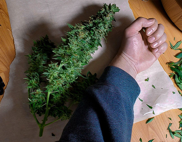 Сравнение одной колы с рукой