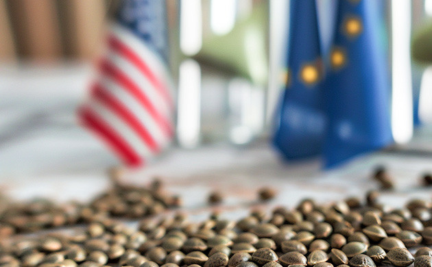 Удобный интерфейс и безопасная регистрация: GroverZ – ваш выбор для семян конопли Удобный интерфейс и безопасная регистрация на GroverZ