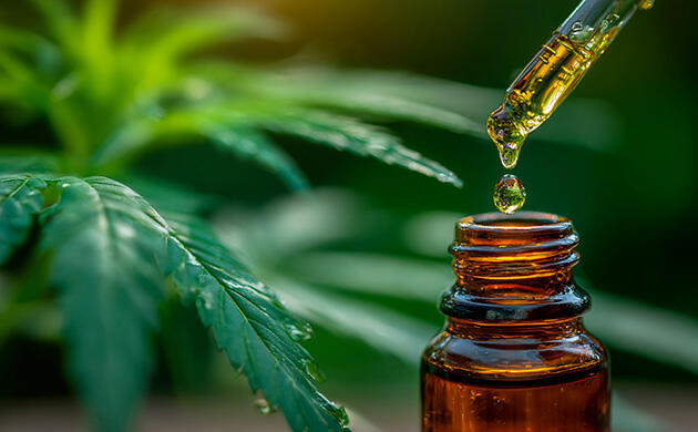 Системное антивозрастное действие ТГК