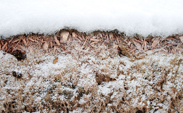 Улучшение качества земли в межсезонье