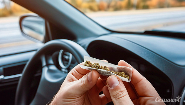 Тесты на каннабис для водителей под сомнением