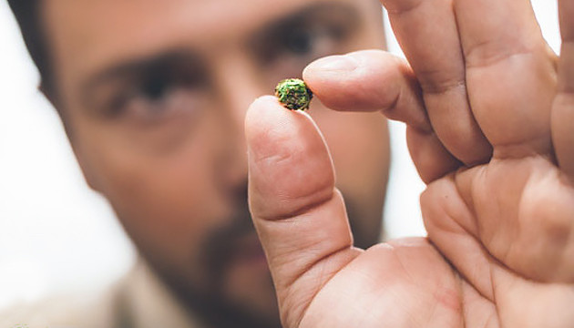 Умеренные дозы марихуаны