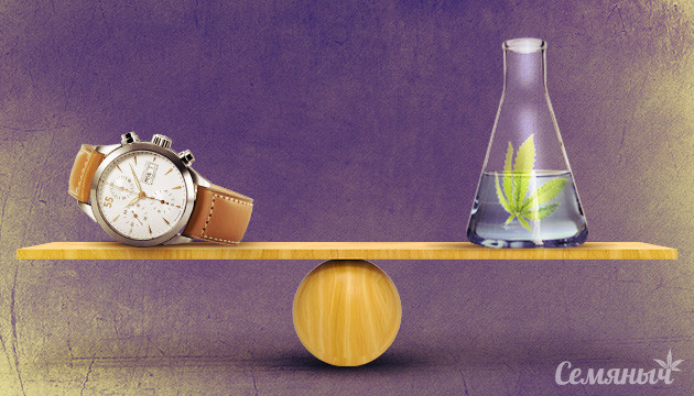 Сколько времени конопля держится в организме