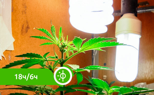 настройка освещения