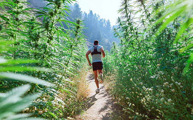 Физическая активность и выведение ТГК