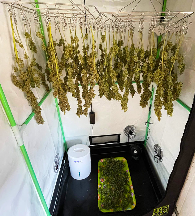 Сушка урожая в гроубоксе