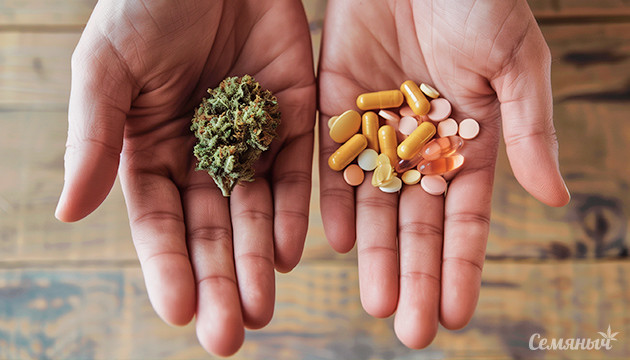Совмещение каннабиса с медицинскими препаратами Совместное применение каннабиноидов и лекарств