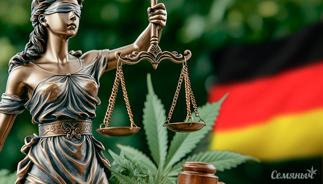 Немцы поддерживают легализацию марихуаны