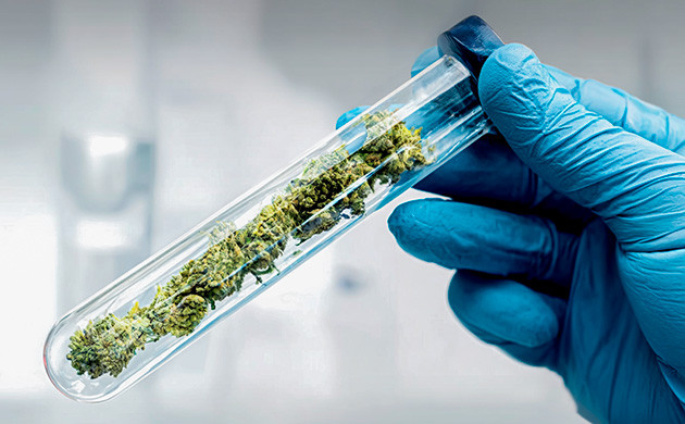 КБС: редкий каннабиноид с потенциалом обезболивания и модуляции ТГК КБС и его анальгезирующие и противовоспалительные свойства