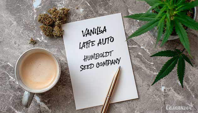 Гроурепорт сорта Vanilla Latte Auto от Humboldt Seed Company