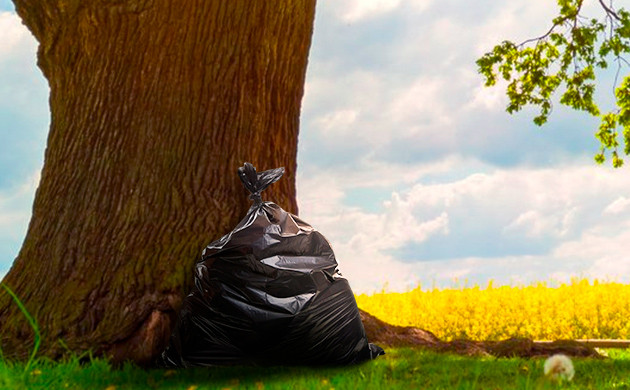 Дезинфекция почвы солнцем