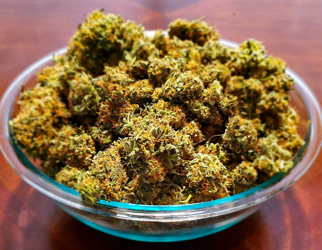 Сухие шишки в прозрачной тарелке