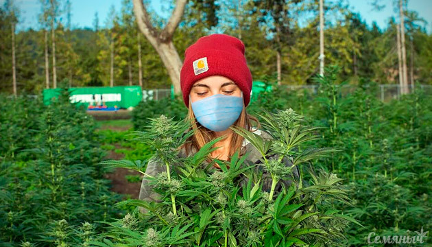 Аутдор в период карантина