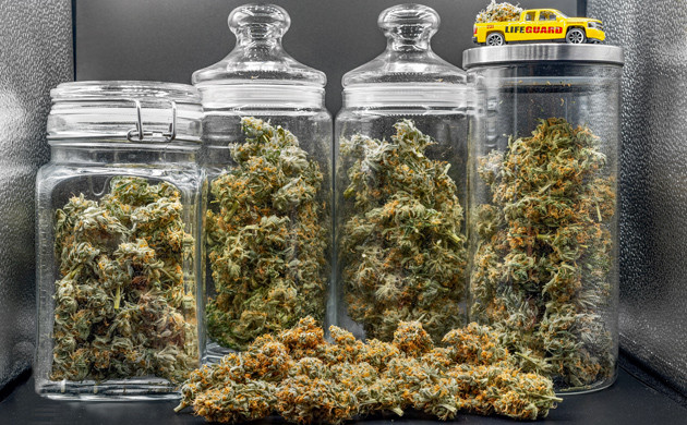 Шишки марихуаны