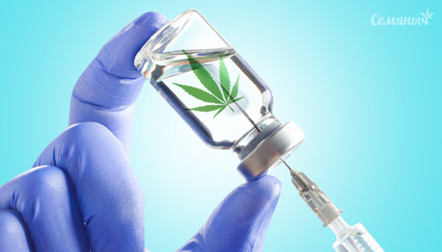 Конопляная вакцинация